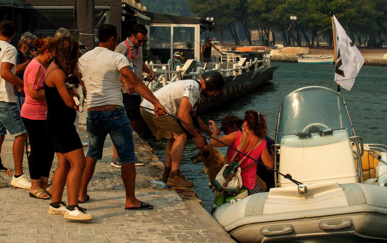 People boarding a small boat.