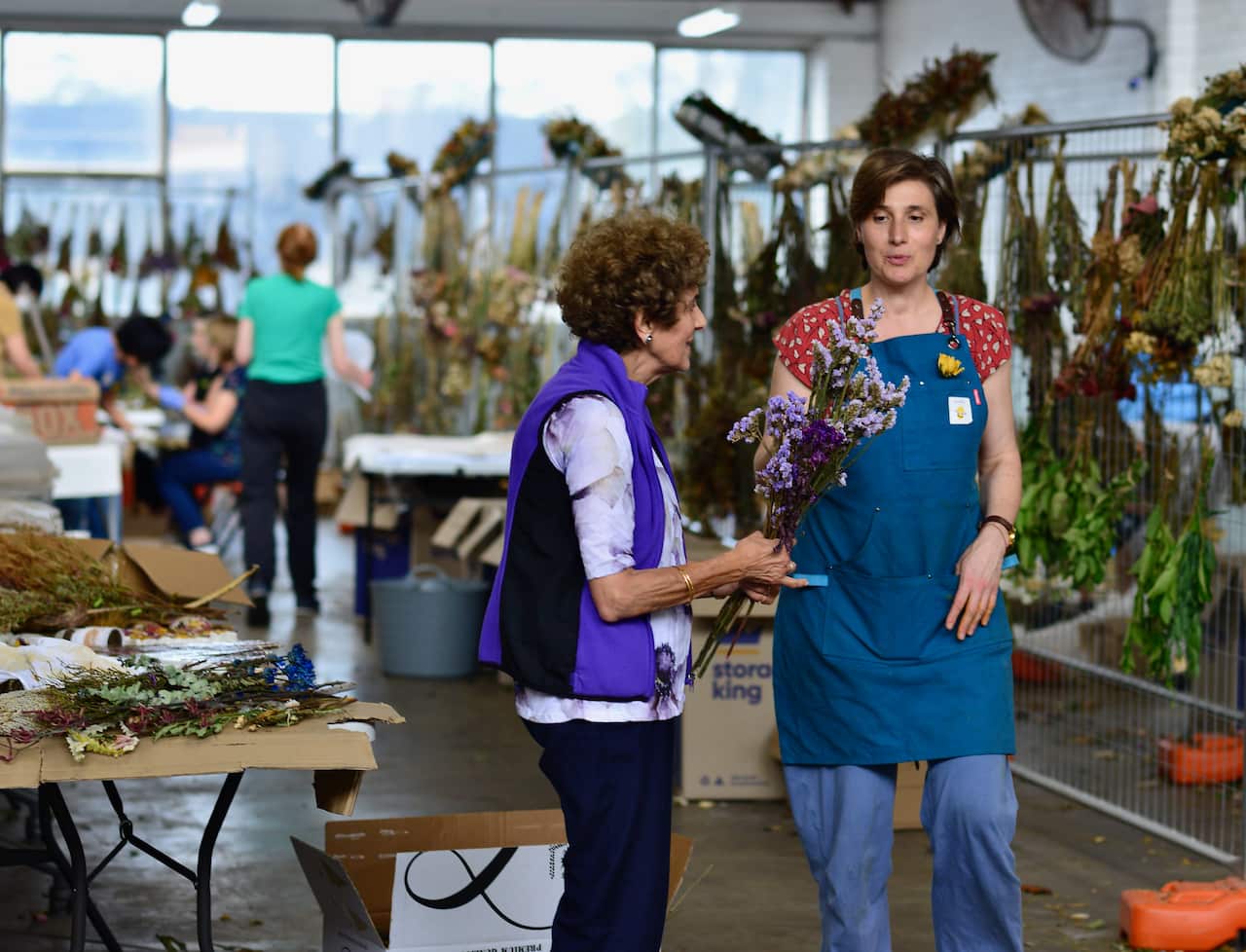 15.01.2026_©Savva 2026_All Rights Reserved_DSC_0738.jpeg