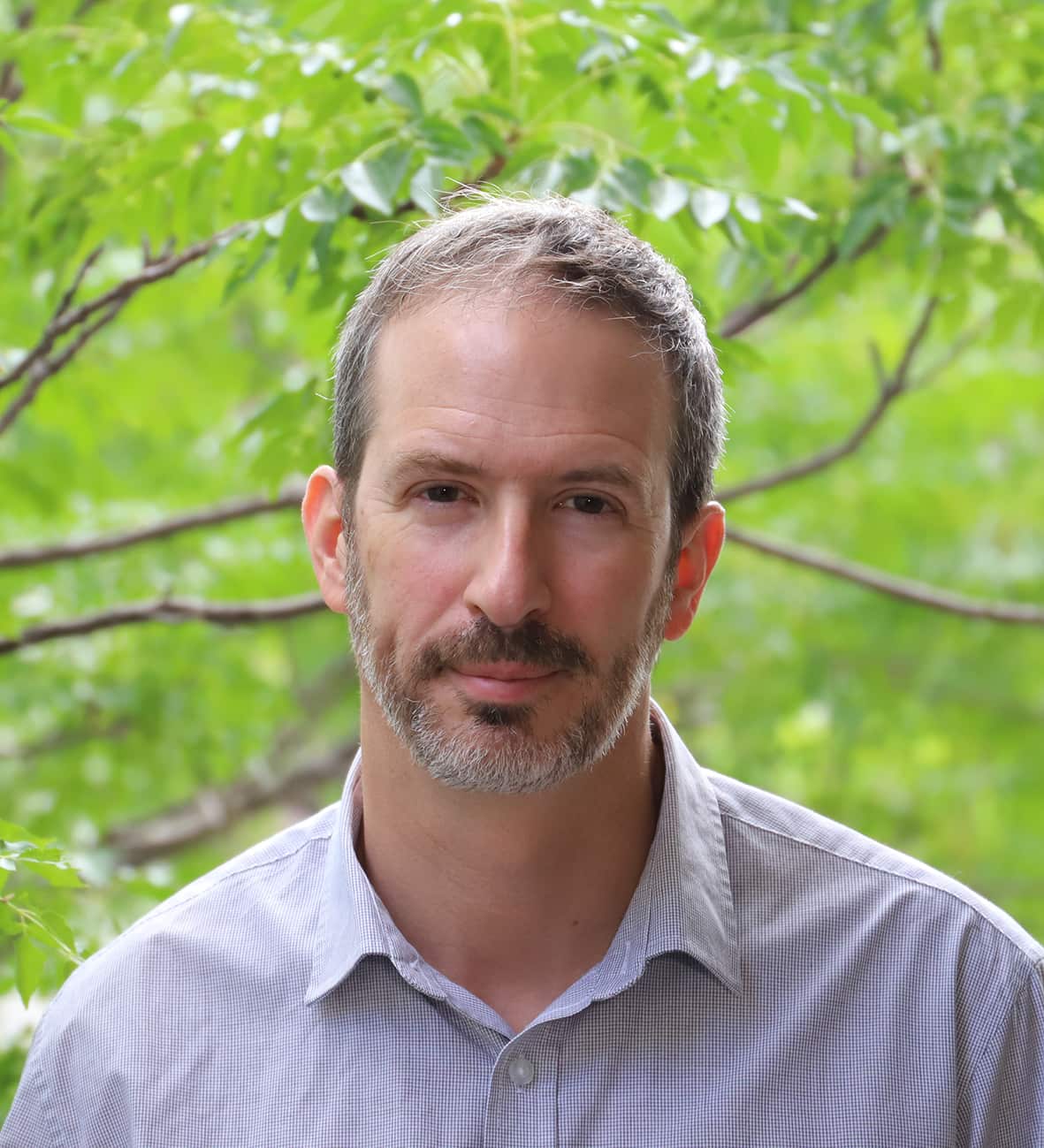 A man in a collared shirt.