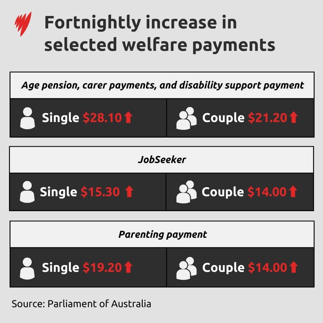 A graph showing the fortnightly increase of selected welfare payments.