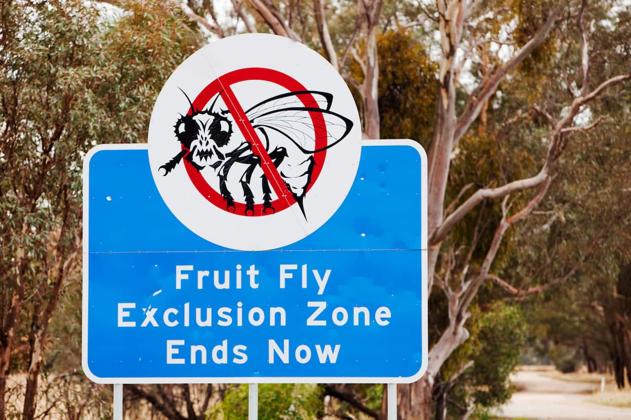 A Fruit Fly exclusion zone sign near Yarrawonga in Australia.