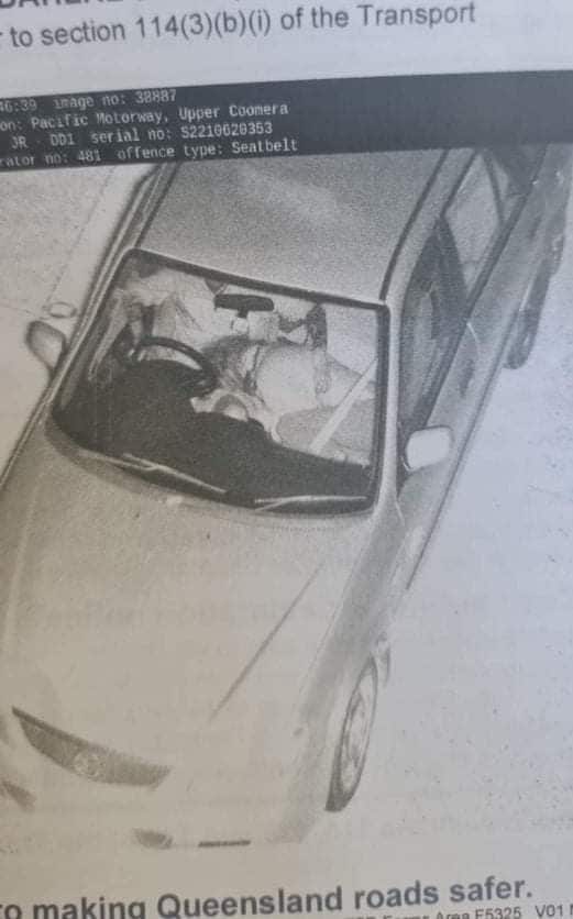 引起爭議的照片，乘客被指未正確佩戴安全帶。