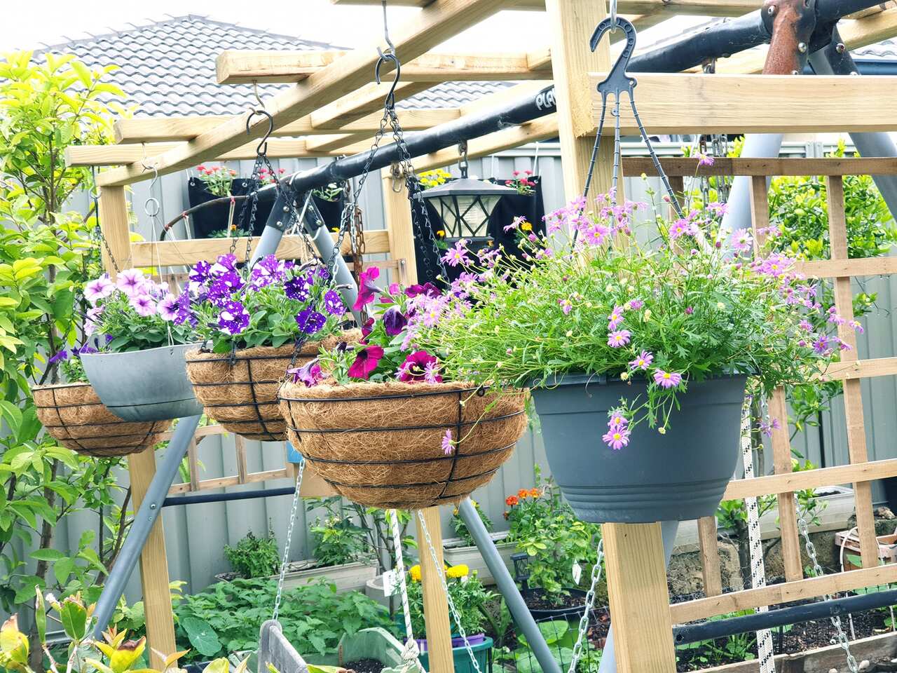 vuon nhu ngoc 11.jpg