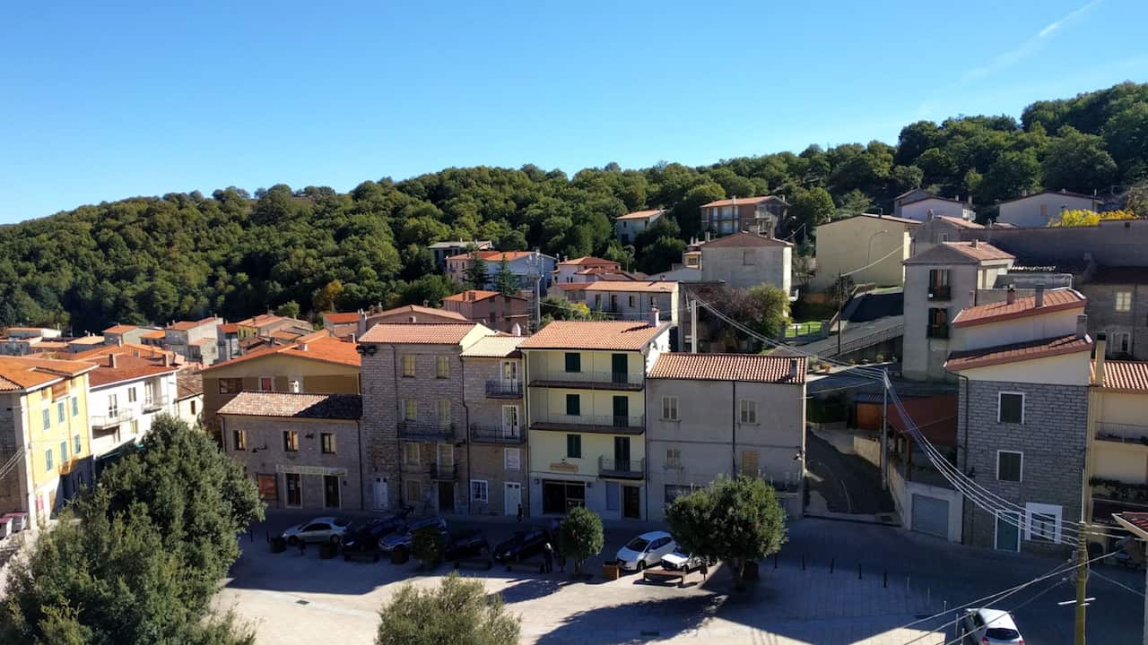 A village surrounded by forests