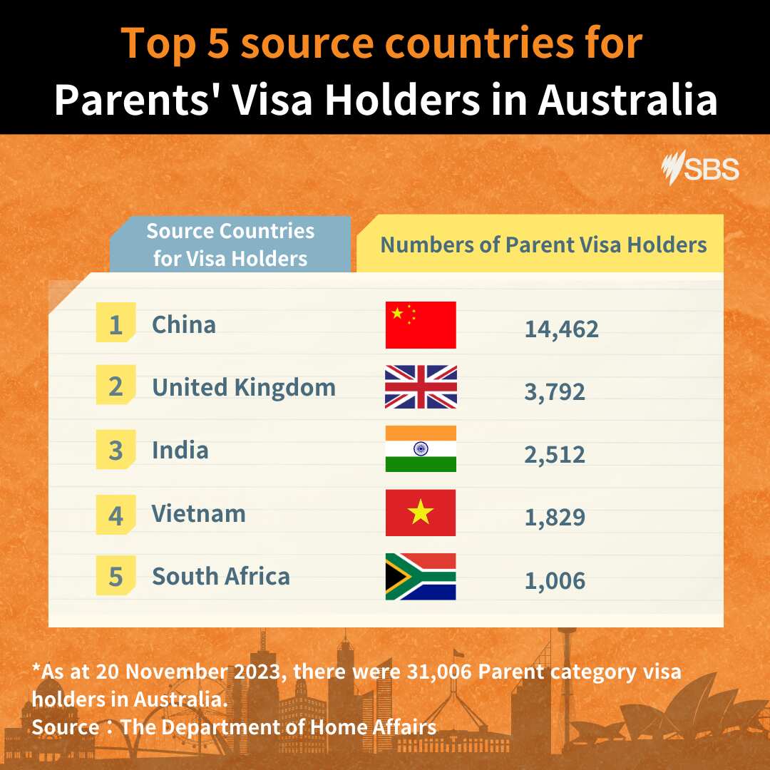 Parents' visa numbers graphic_English.png