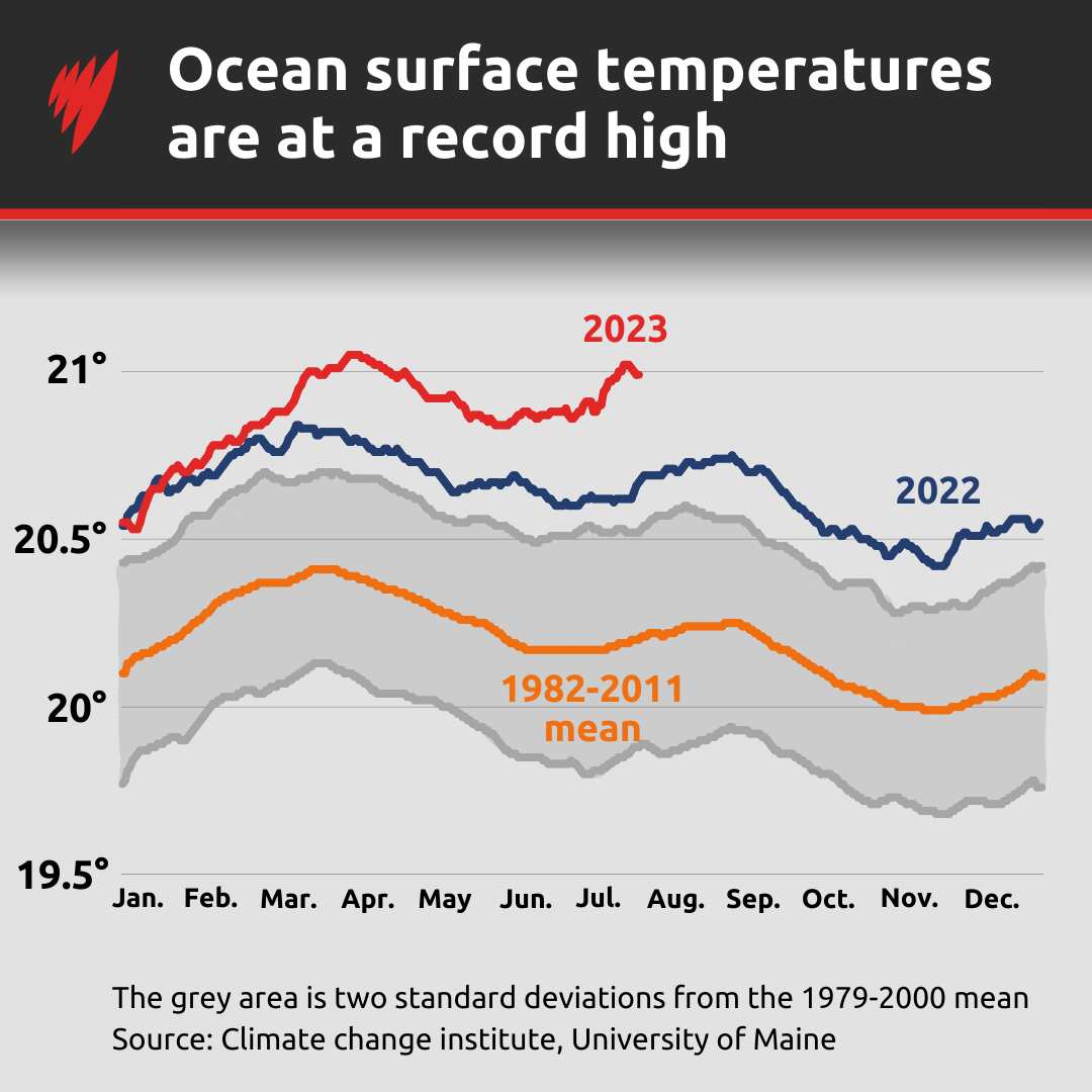 A line graph showing ocean surface temperatures