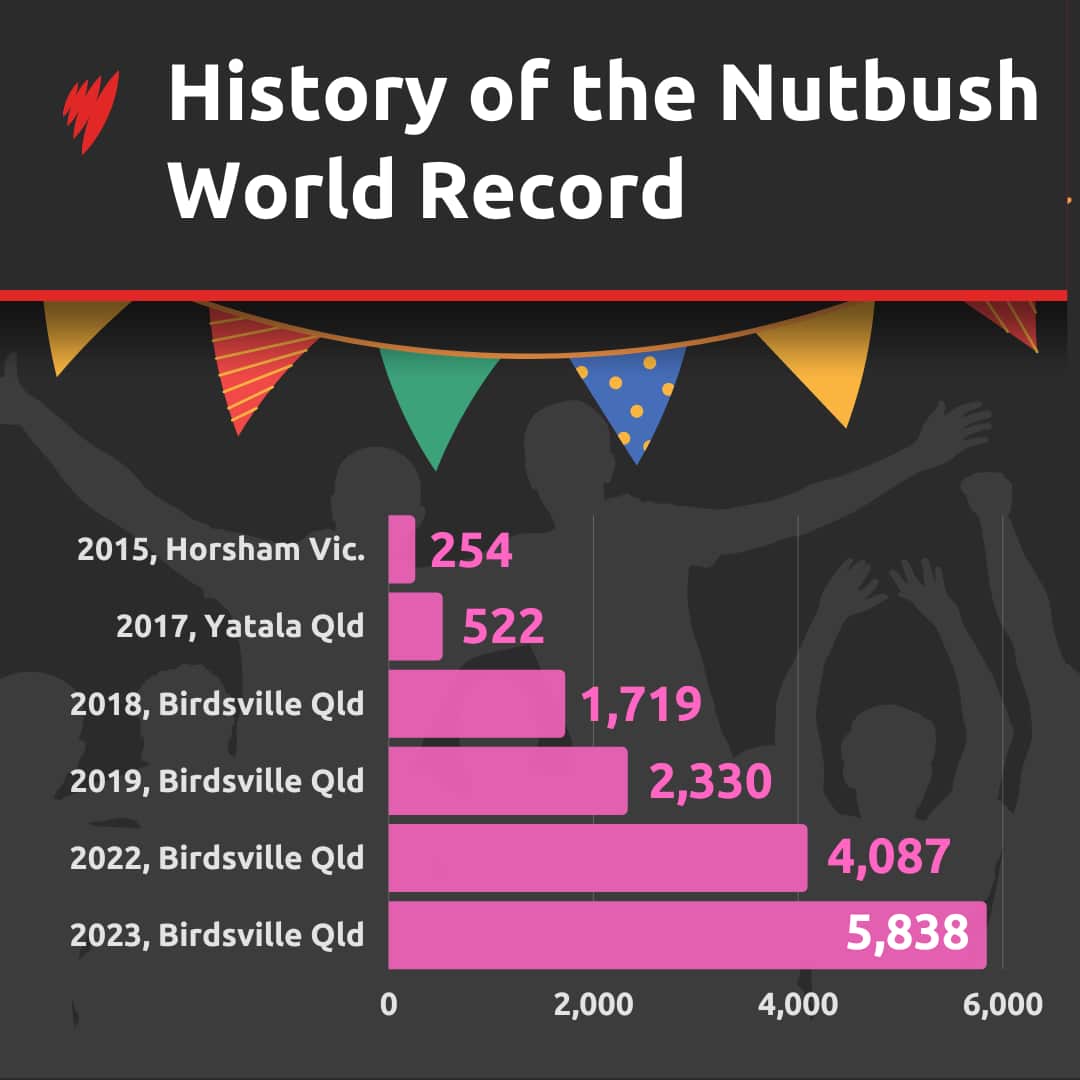 Graph showing the history of Nutbush World Records.