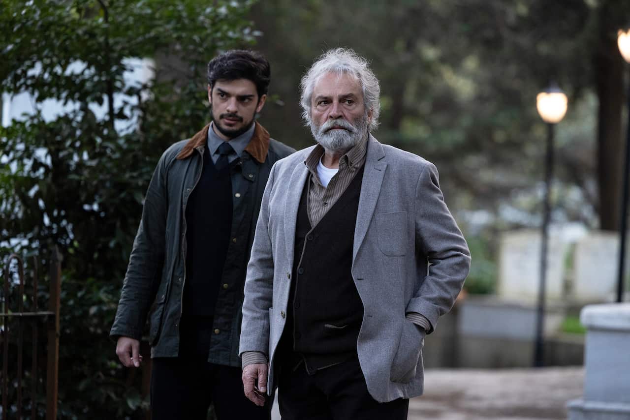 The Turkish Detective