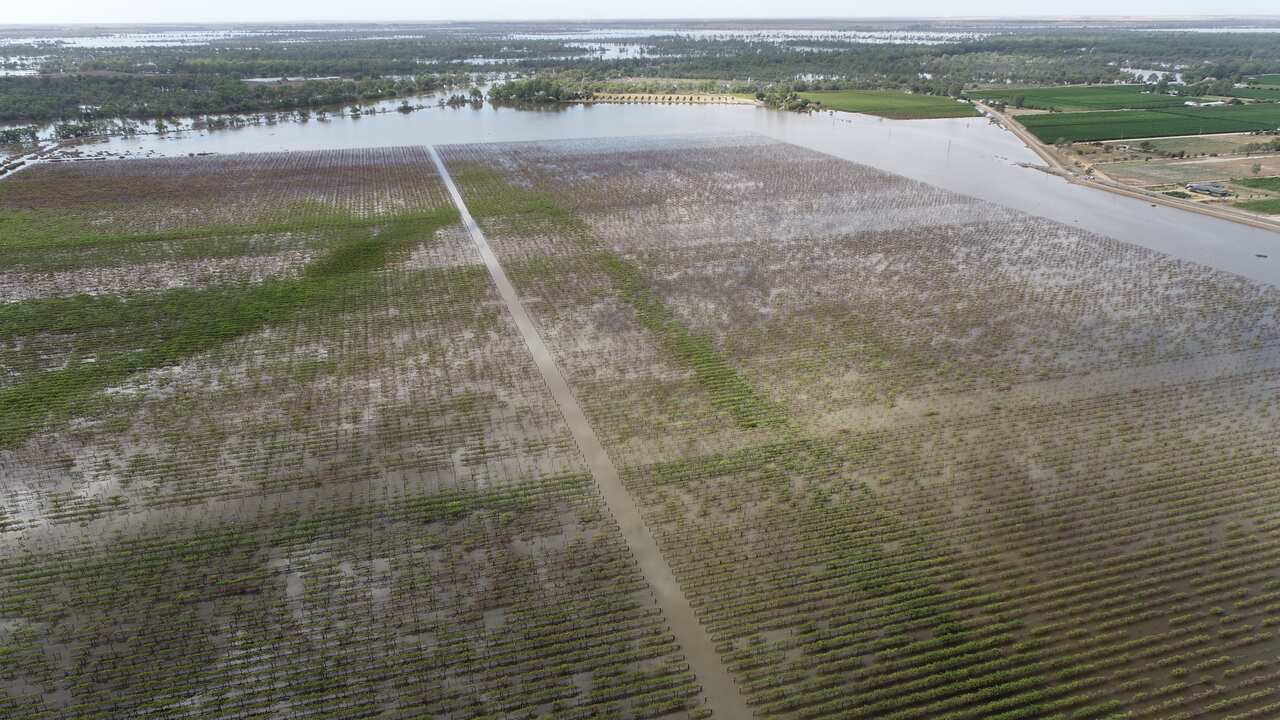 Aerial photo of the Riverland under water.