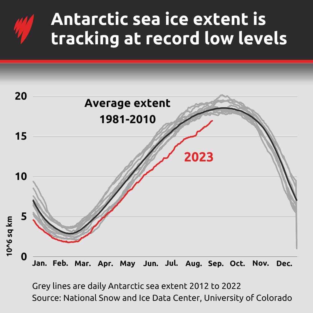 Graph showing that Antarctic sea ice extent is tracking at record low levels