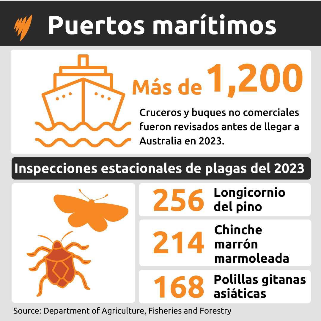 WEIRD ITEMS SEIZED GFX 3.png