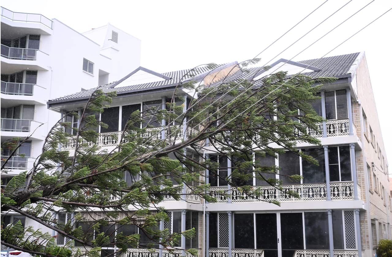 Trees fallen across power lines in front of white townhouses