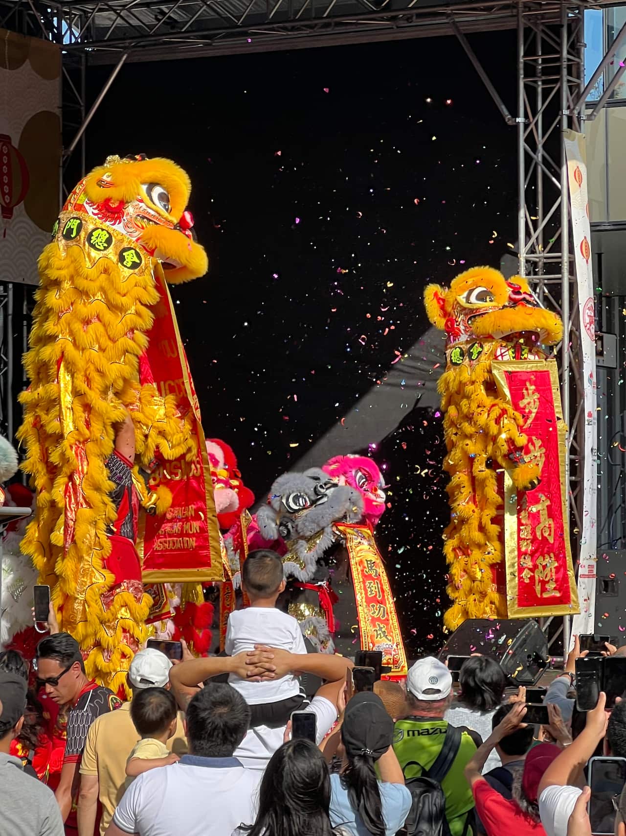 柔功门（Yau Kung Mun）舞狮