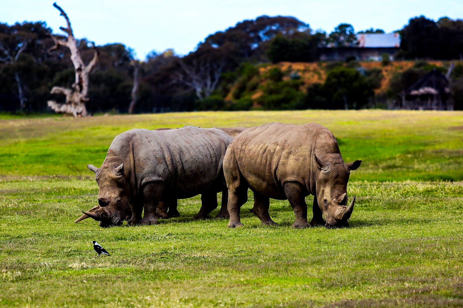 a6d00e72-6f1e-4f67-ab56-21273935dcc4.jfif