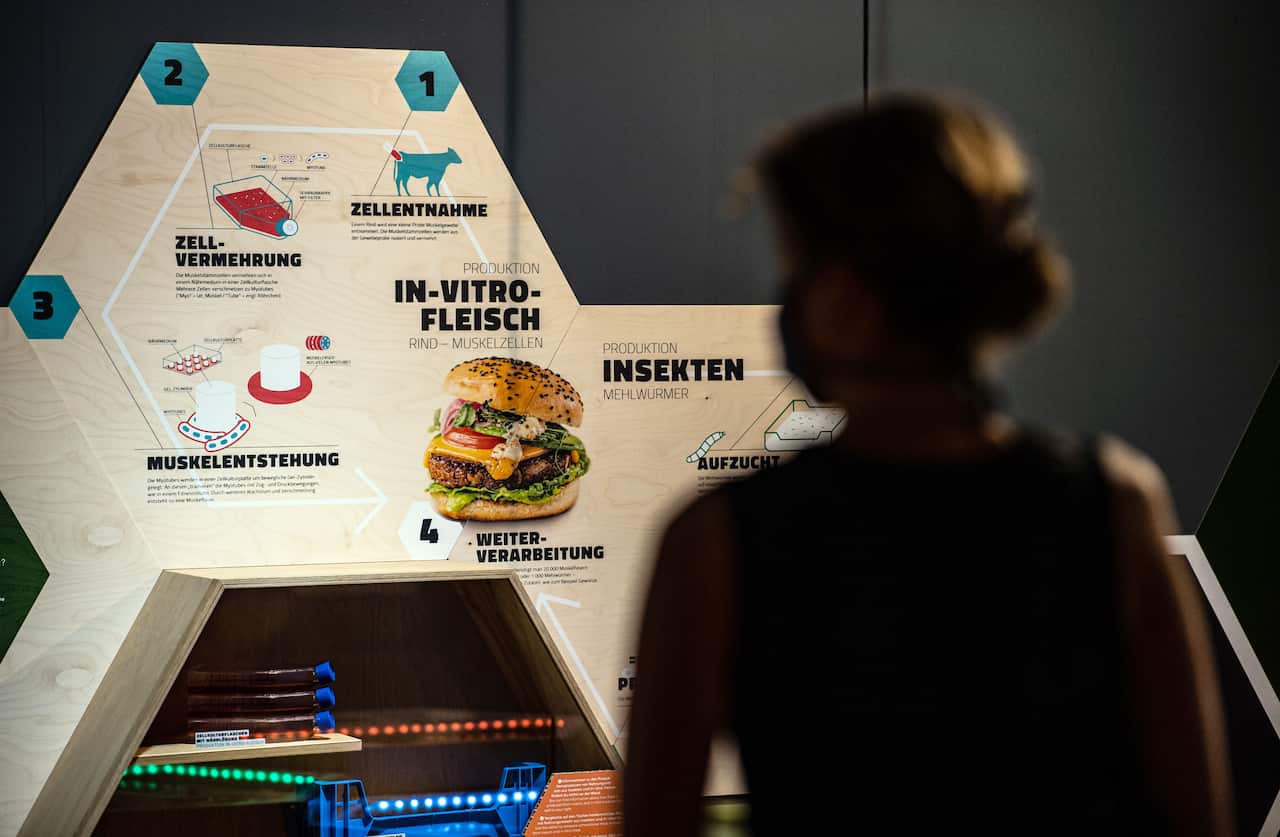A display board shows the various steps of producing lab-grown meat.
