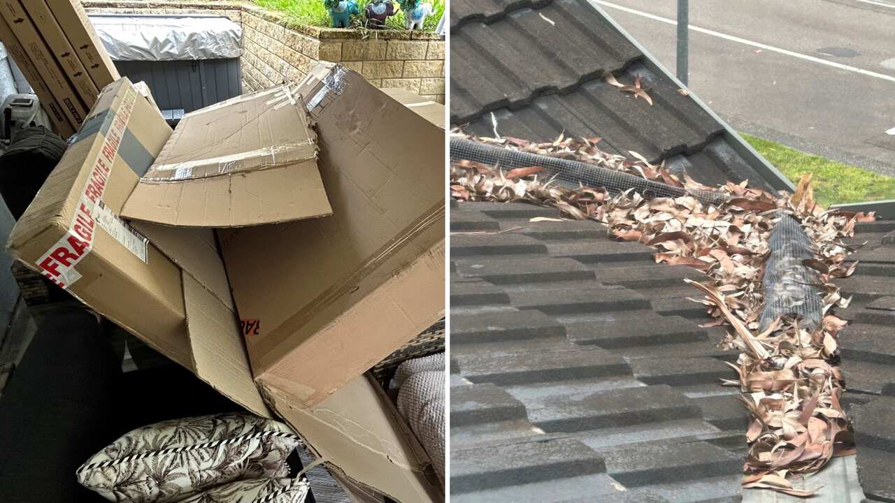 gutter + cardboard.png