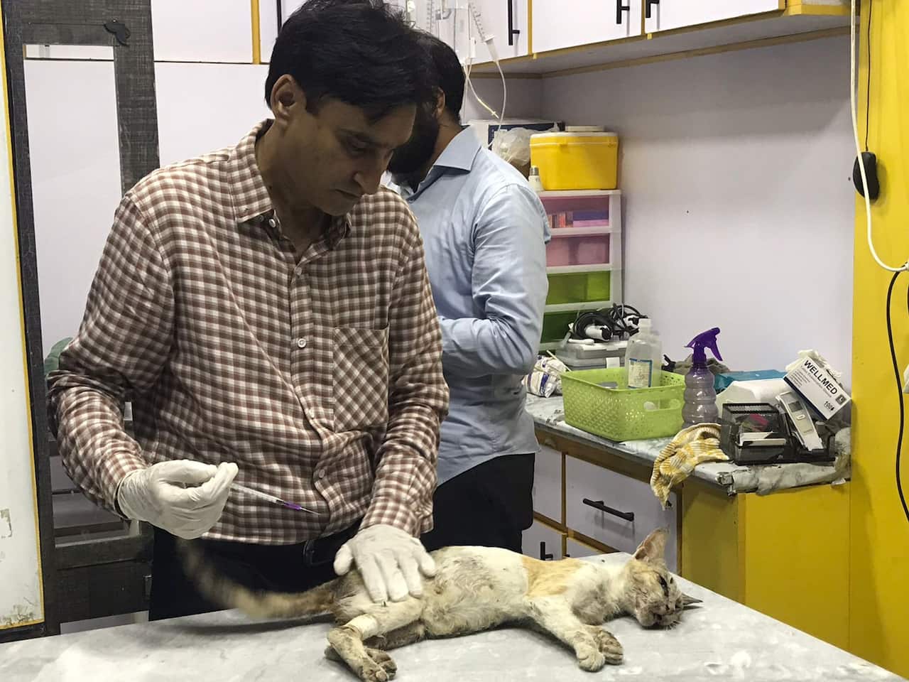 WhatsApp Image 2024-05-29 at 03.55.45.jpeg