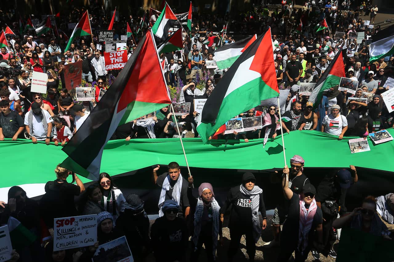 A large group of protesters, many waving Palestinian flags.
