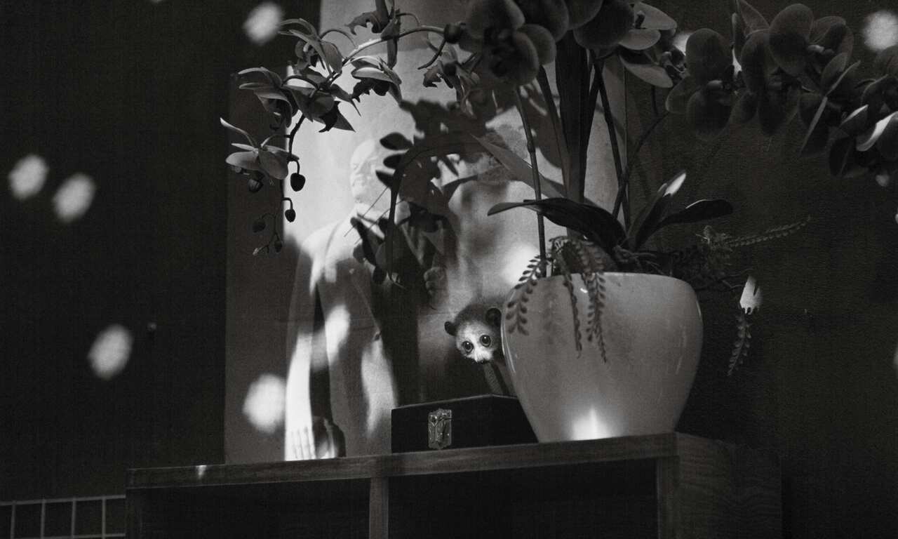 Cu Li Never Cries - Still 5.jpg