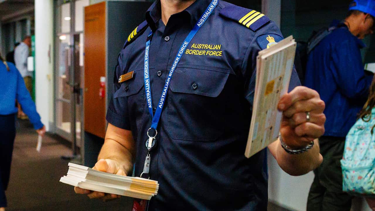 A person in an Australian Border Force uniform holding up stacks of yellow Incoming Passenger Cards.