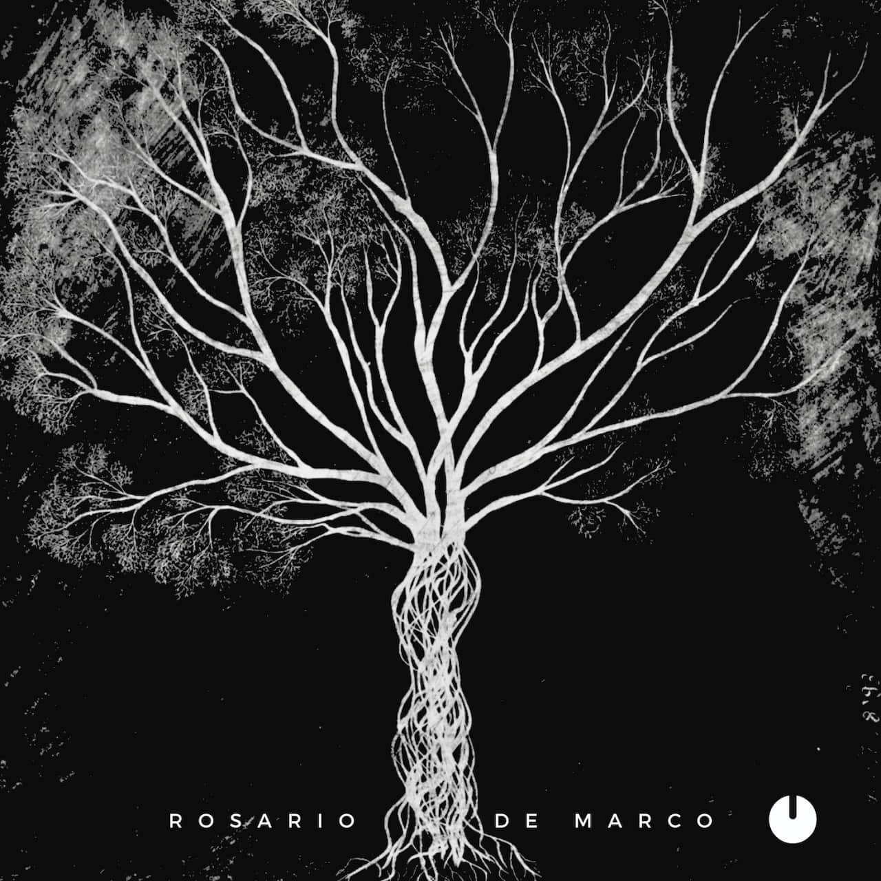 Dream On, Copertina dell'album. Courtesy of Rosario De Marco