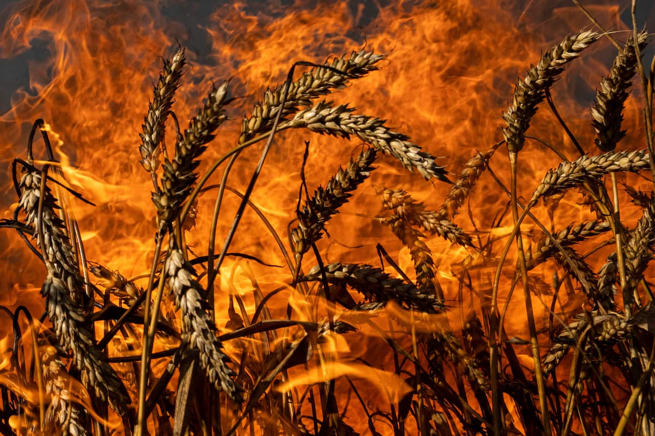 APTOPIX Russia Ukraine War