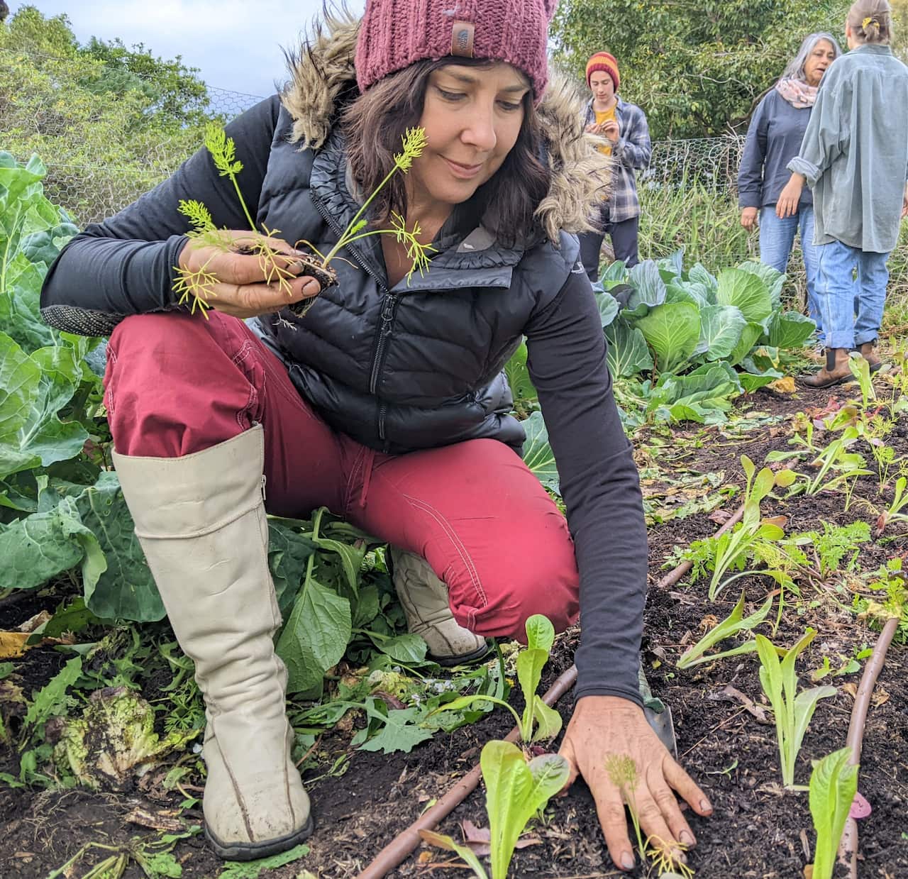 A Farm it Forward volunteer in a red beanie planting vegetables at a garden plot.