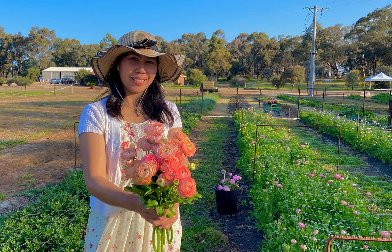 Pure Maiden Flower Farm SBS Thai 12.jpg