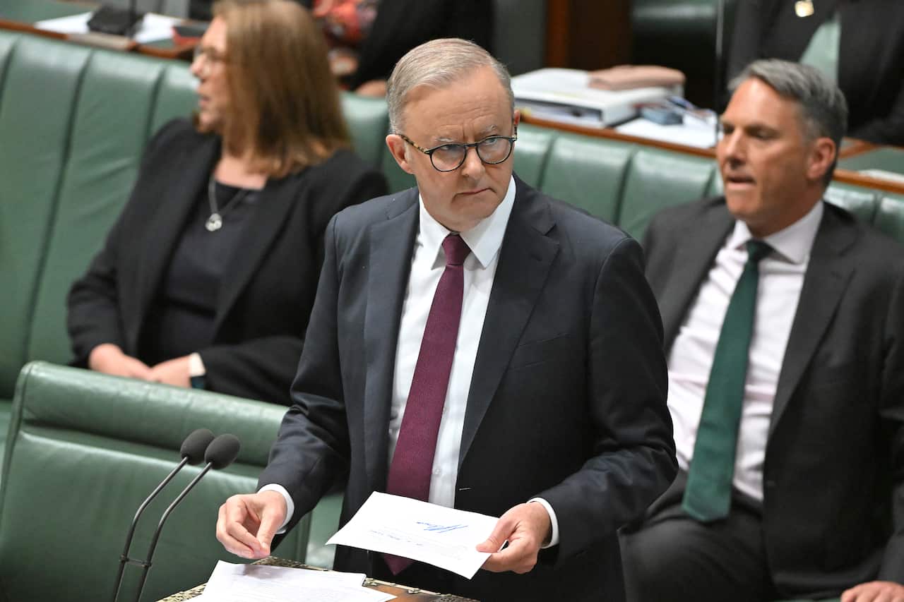 Anthony Albanese speaking in parliament.