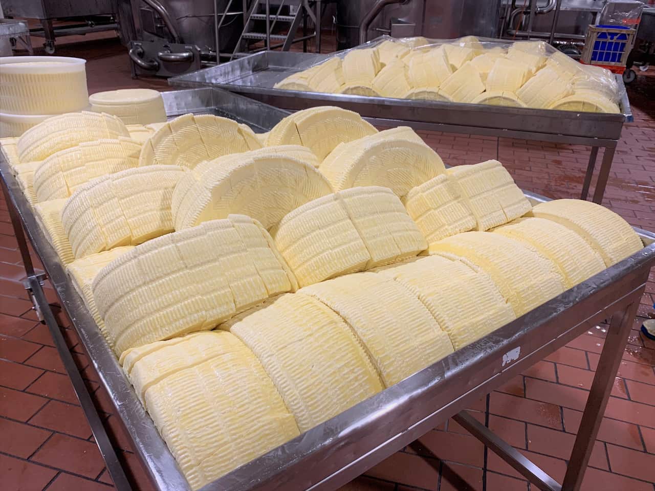 Provedore soft cheese at the Melbourne factory 