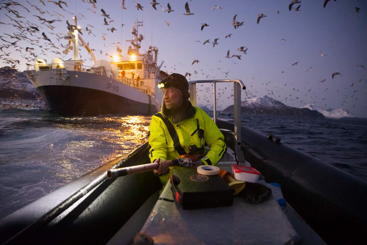 A man in a yellow jacket on a small boat next to a ship navigates calm waters with sea birds flying overhead.