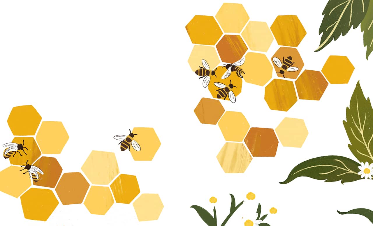 Illustration of bees on honeycomb