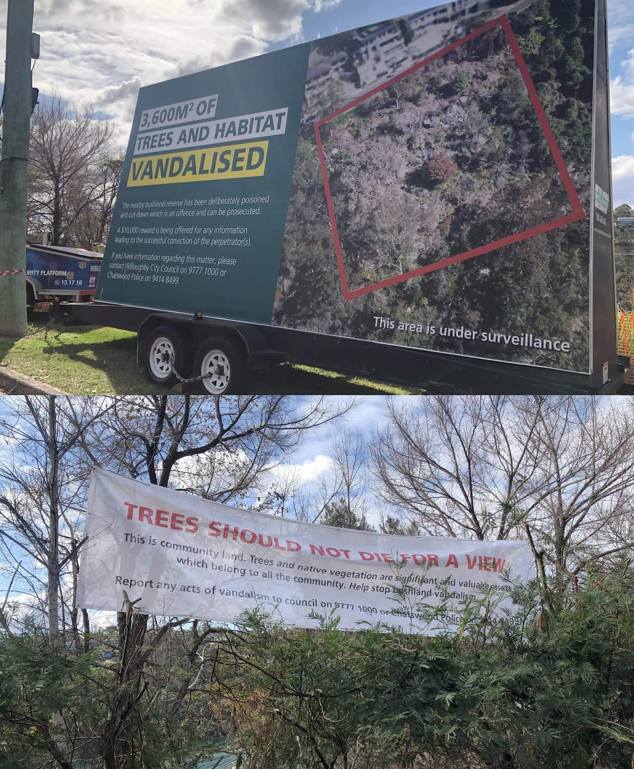 Willoughby tree vandalism