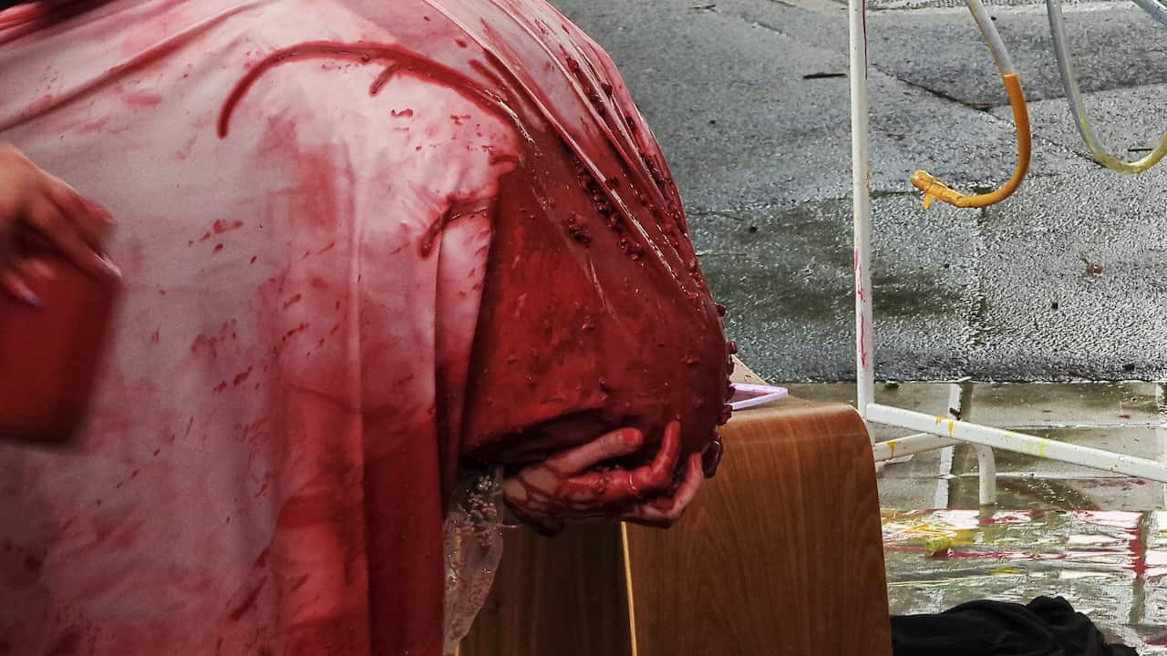 2-Erfan Behzadnia.jpg