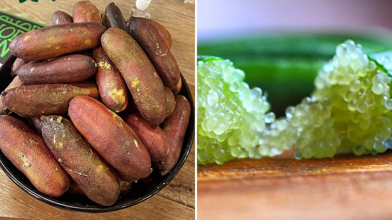 Finger Lime.png