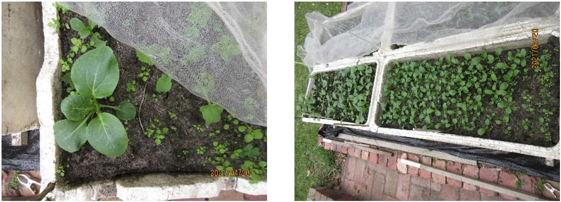 Screenshot 2026-03-13 120430.png