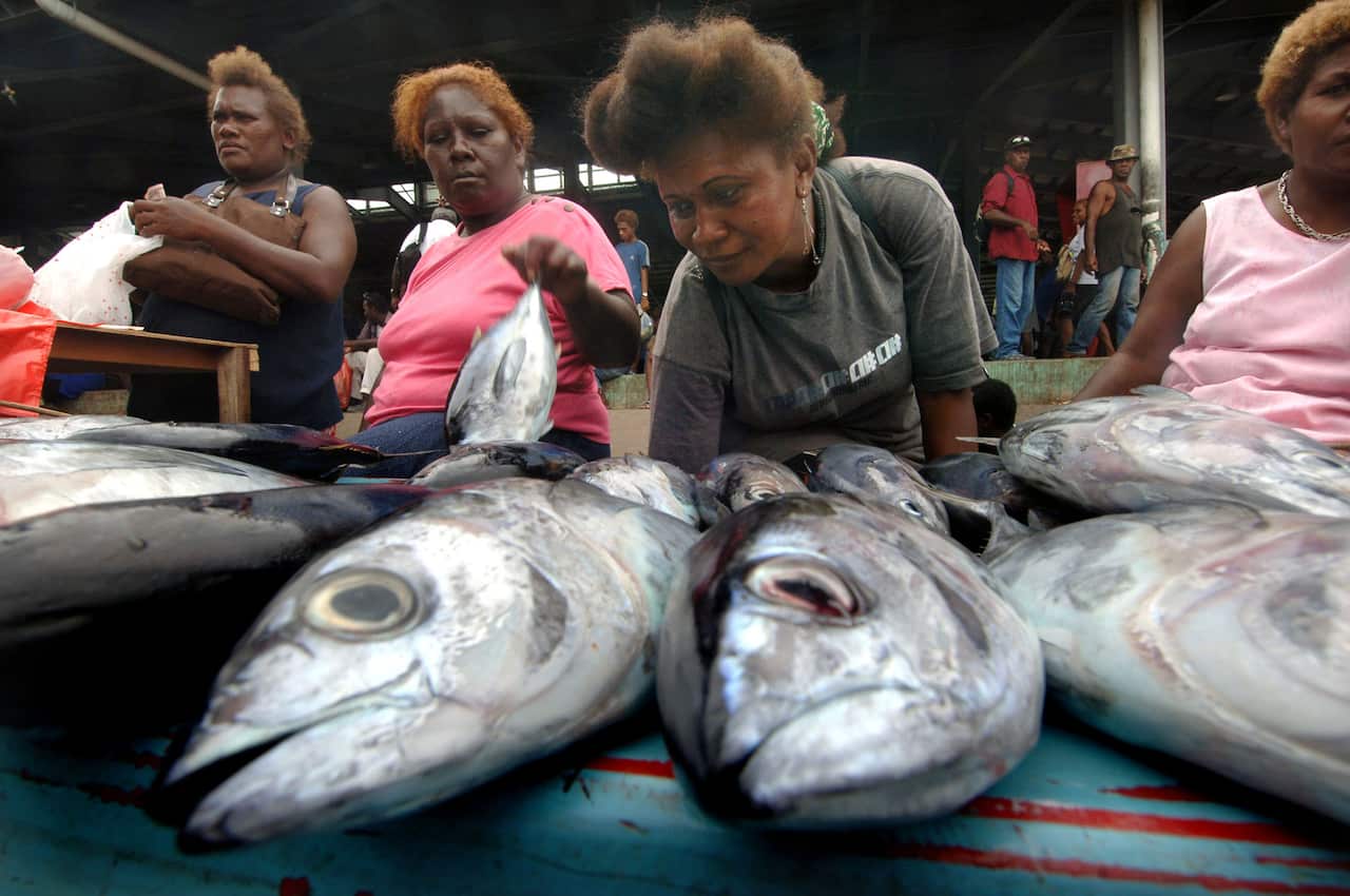 Women behind fish on sale in a market in Honiara.