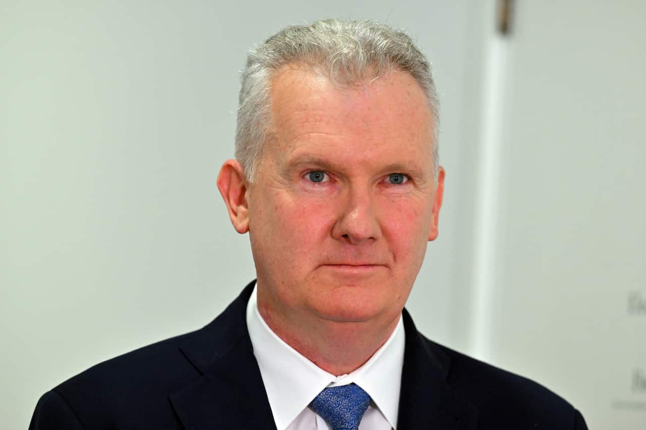 Tony Burke, wearing a black suit, white shirt and blue tie.
