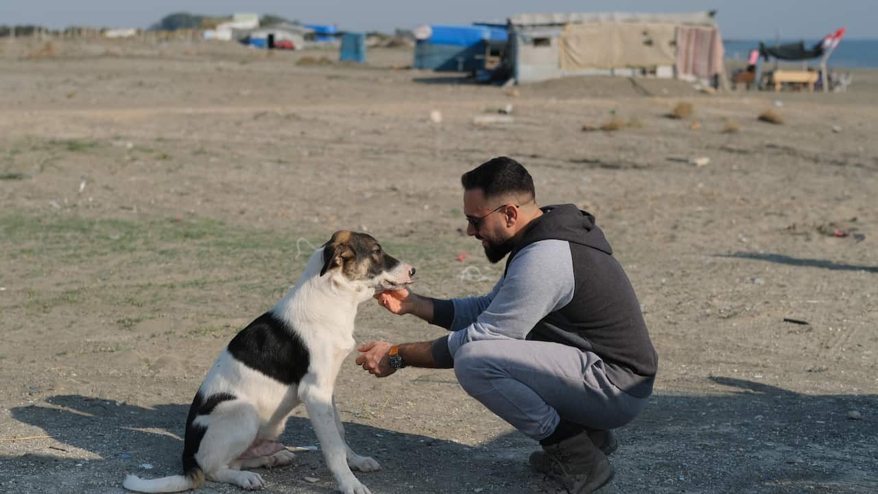 Devran Naz bir sokak hayvanıyla ilgilenirken.jpg