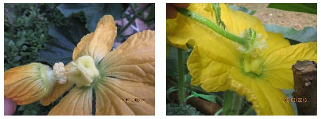 Screenshot 2024-12-13 111424.png