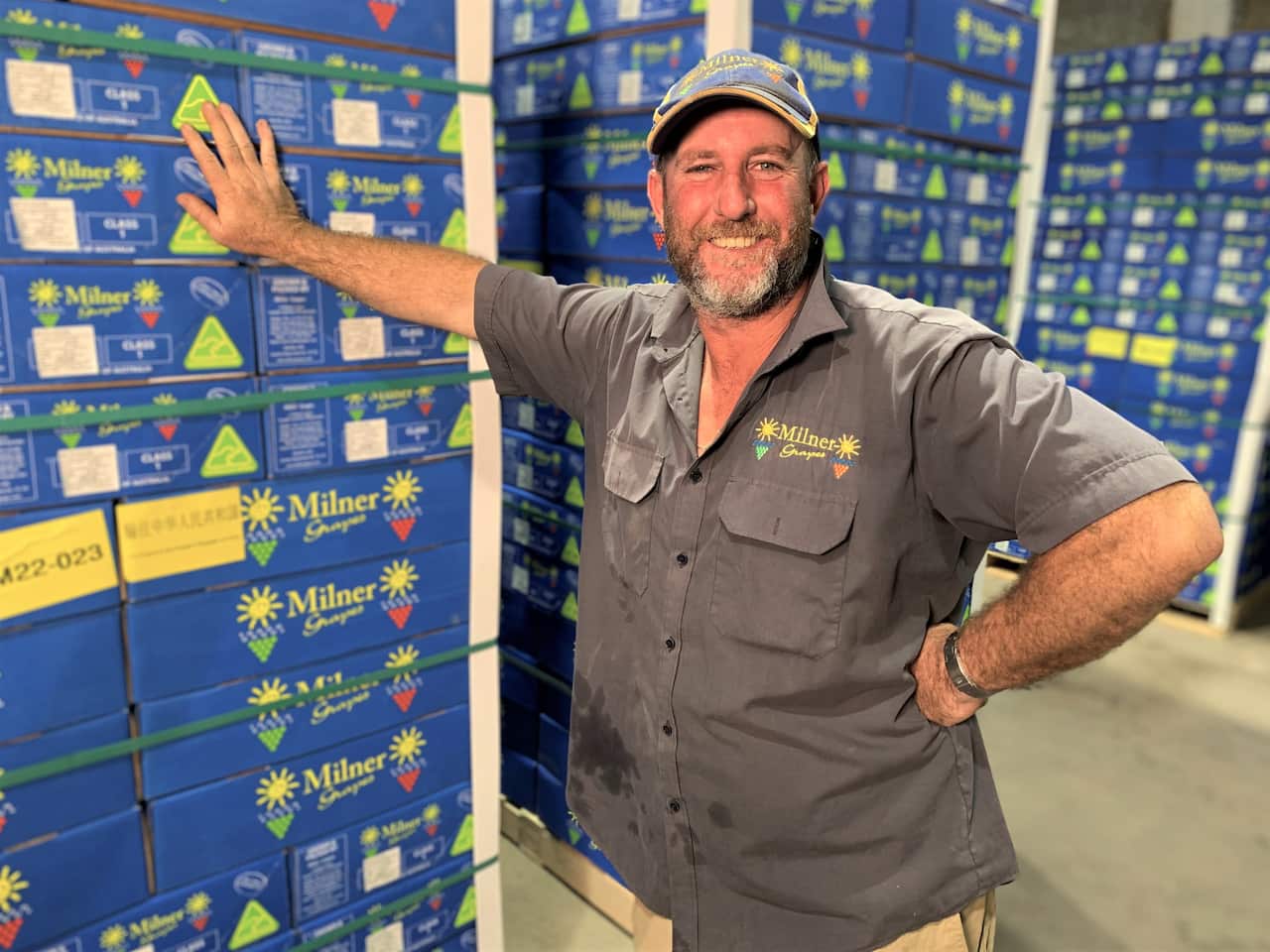 Tim Milner with grapes packed for export