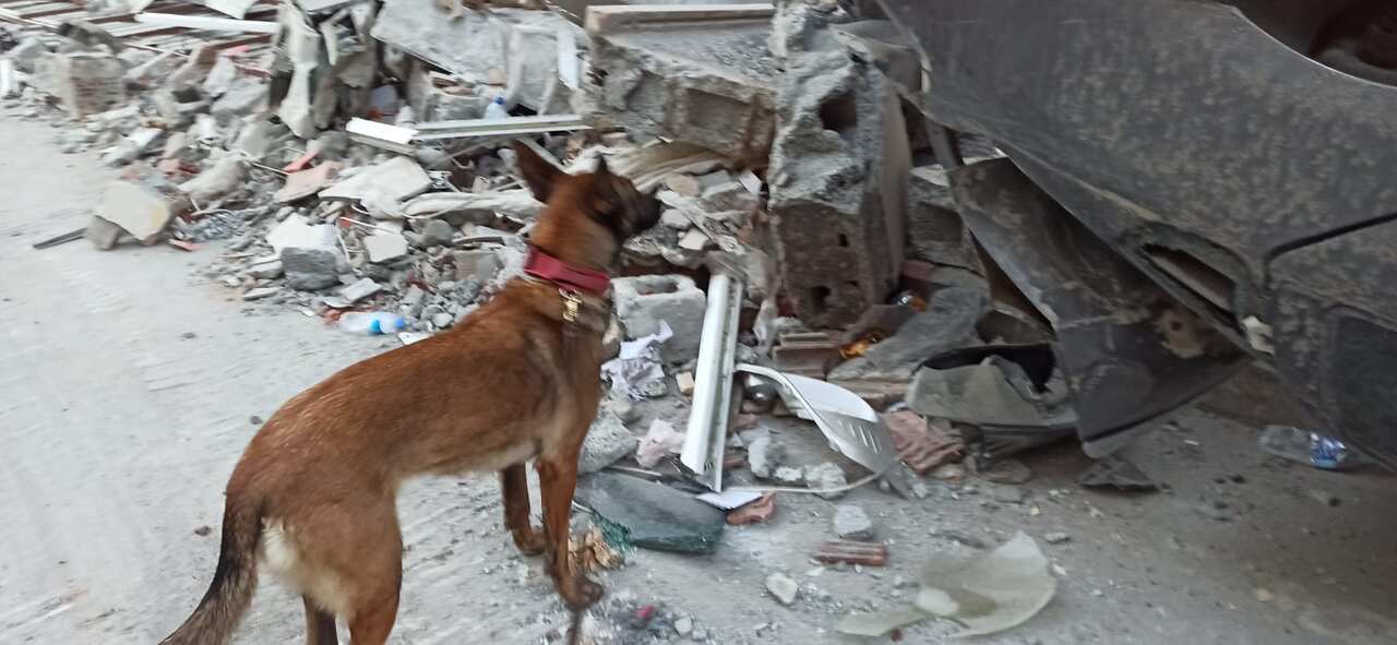 Neus, perra de resctae de Mariluz López