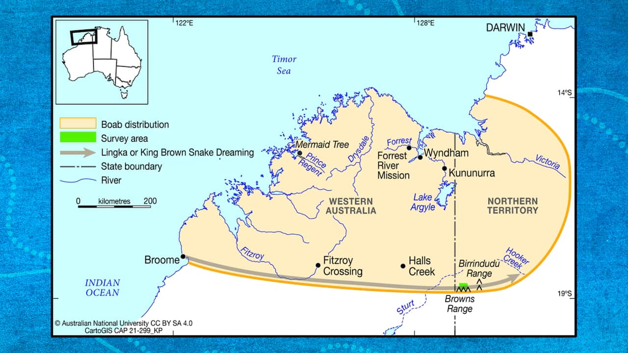 a map of the north west of australia, with markings delineating the path of the Linga Dreaming, the King Brown Songline.