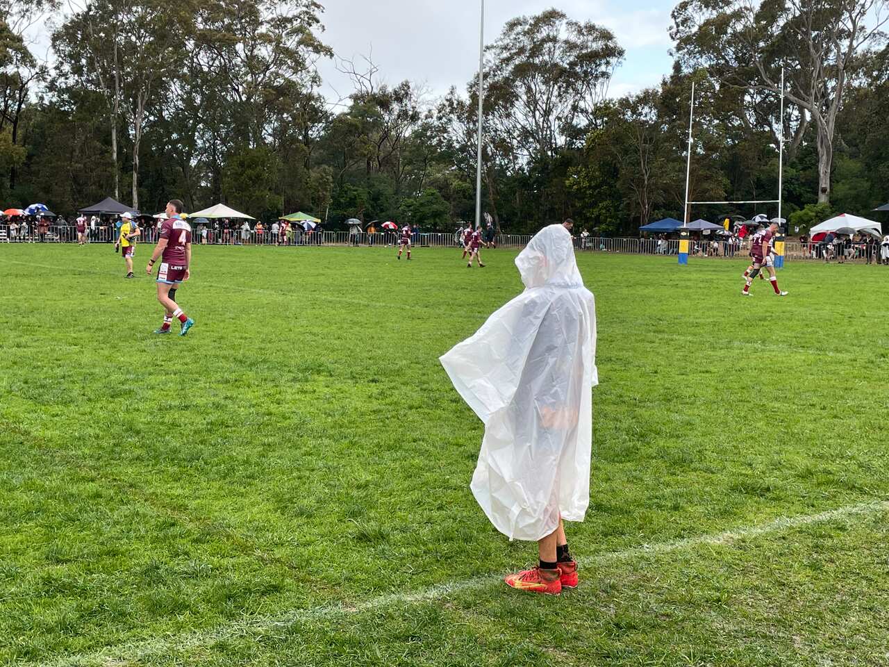 Wellington too strong