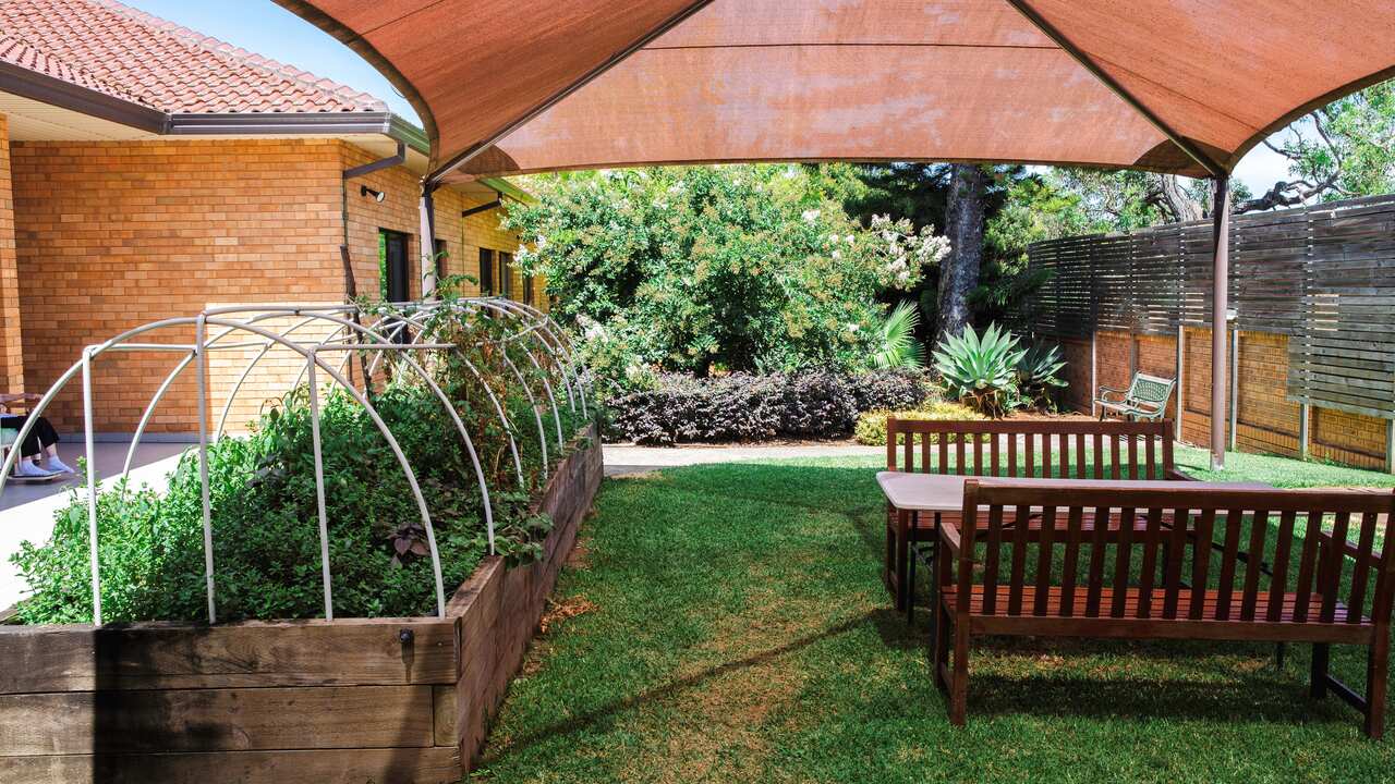 Outdoor garden area