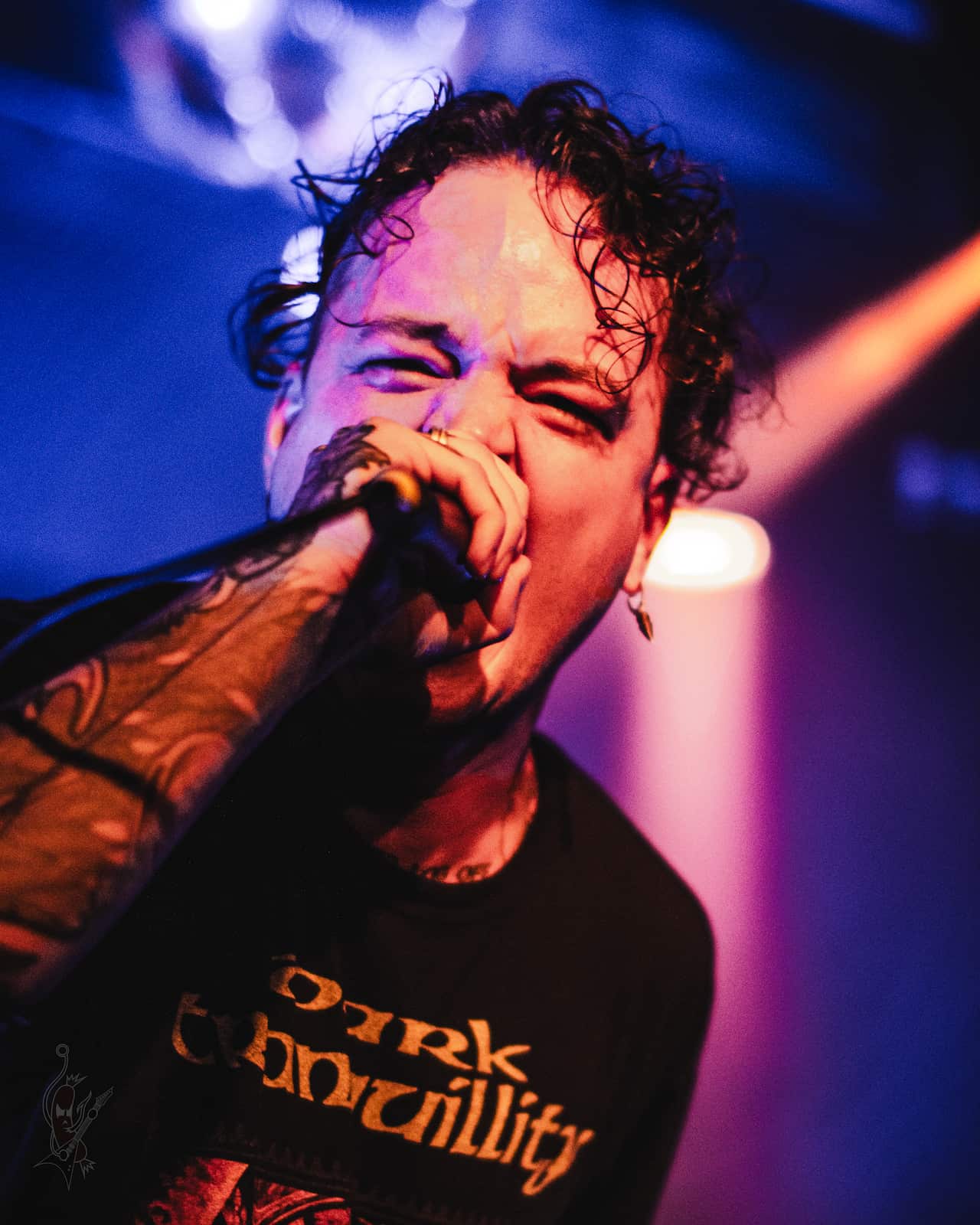 A man with curly brown hair sings into a microphone onstage.