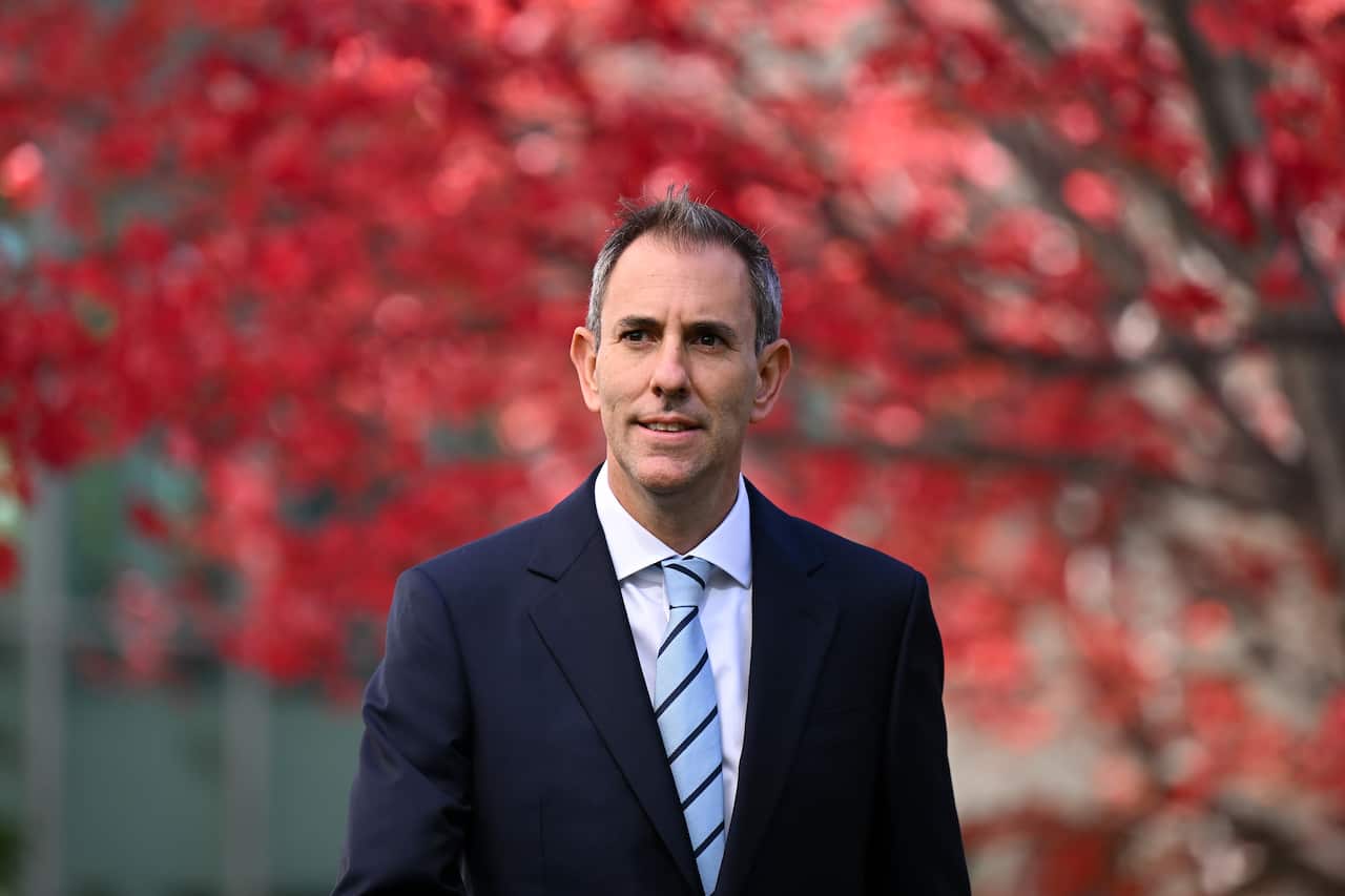 Jim Chalmers stands under the budget tree.