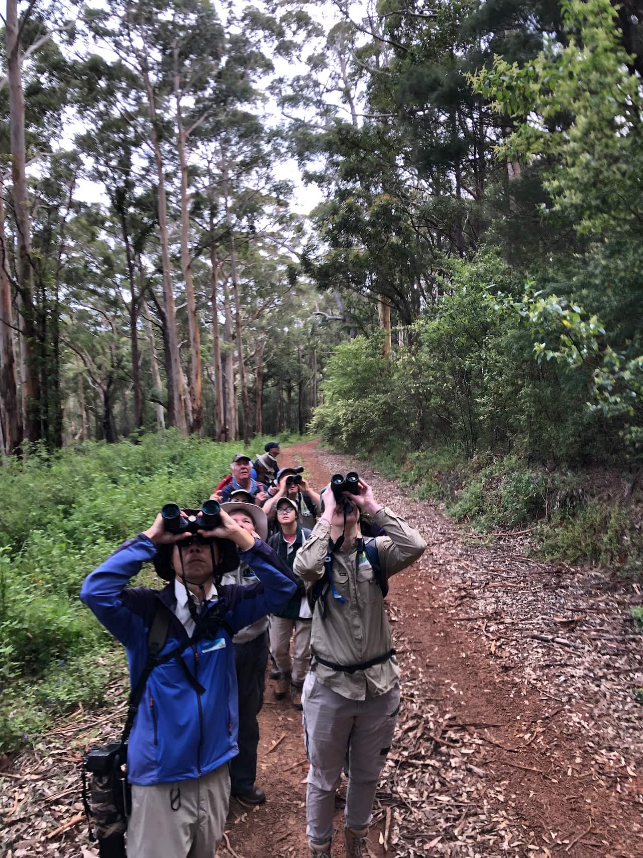 Participants in the Walpole Wilderness Bioblitz - Image Daemon Clark.jpg