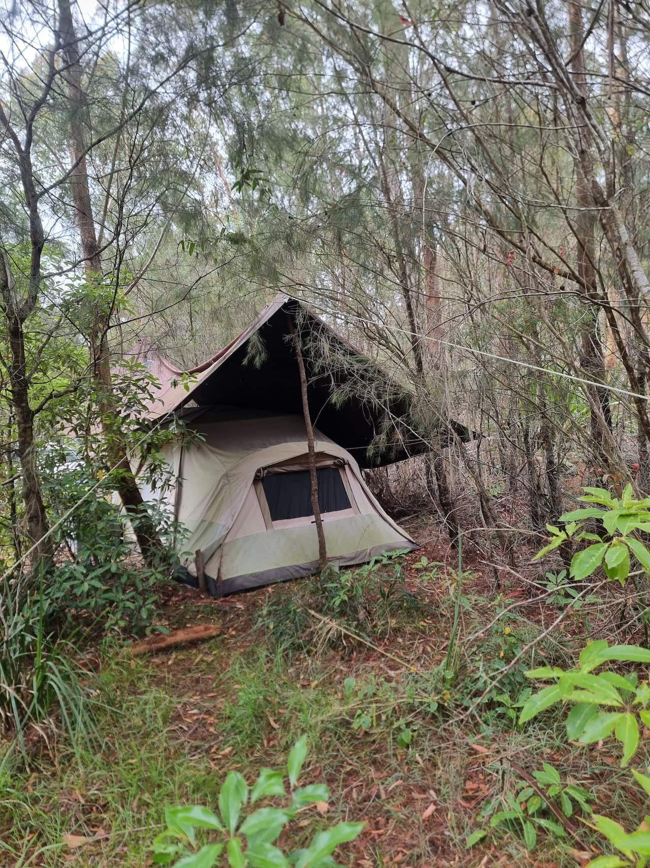A tent in bushland.
