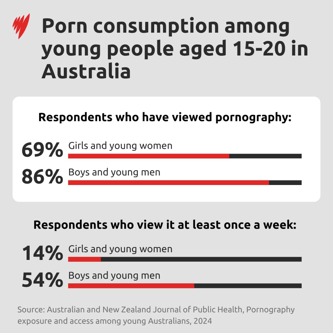A graph showing the prevalence and regularity with which young people view pornography, divided by gender. 